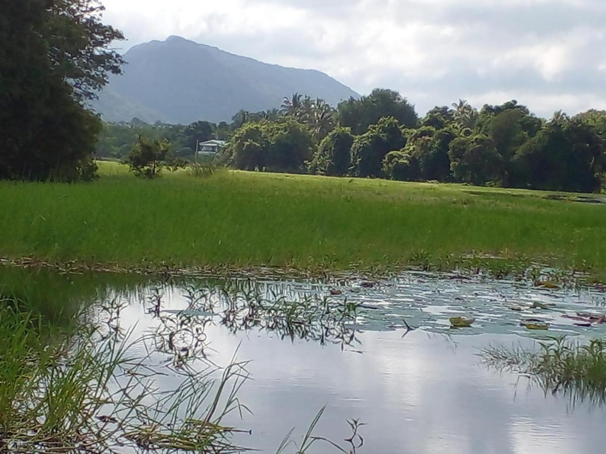 Lake Edge 丹不拉 外观 照片